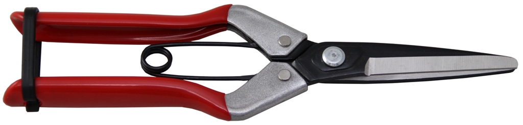 210mm Fruit Scissors